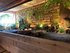 -天水蔬食料理(树德之光店)