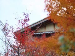 -常寂光寺