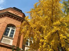 -复旦大学附属华山医院(总院)