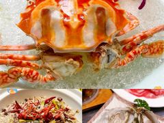 -金龙·打边炉(南京西路店)