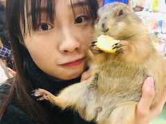 -藦茜花园宠物主题亲子互动体验馆(国顺东路店)