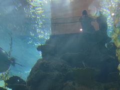 -鸿通城购物中心