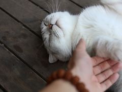 门面-云中漫步·足疗养生会馆(金开店)