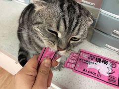 -萌兽医馆·眼科·异宠专科(三里屯店)