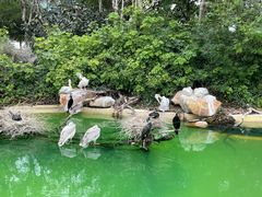 -珠海长隆海洋王国