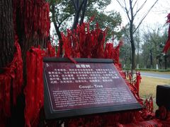 -乌镇西栅景区-月老庙