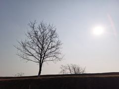 -盘龙城国家考古遗址公园