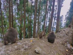 -太阳湾风景区