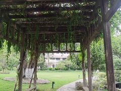 -杭州雅谷泉山庄酒店-餐厅