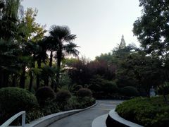 -兰溪青年公园