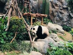 -香港海洋公园