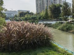 -成都市活水公园