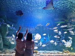 -华夏文旅海洋公园