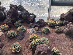 -南通洲际绿博园