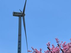 -龙里油画大草原旅游区