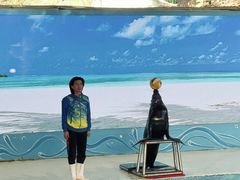 -厦门海底世界