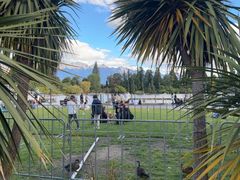 -Fergburger(皇后镇店)