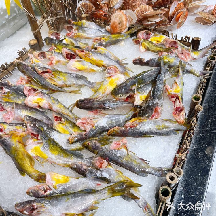 昆明探店 | 性价比超高的海鲜自助餐