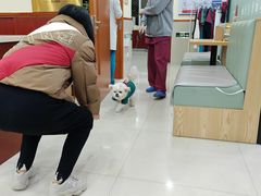-艾贝尔宠物诊疗