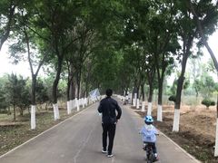 -东郊湿地公园