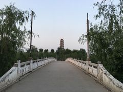 -商丘市人民公园