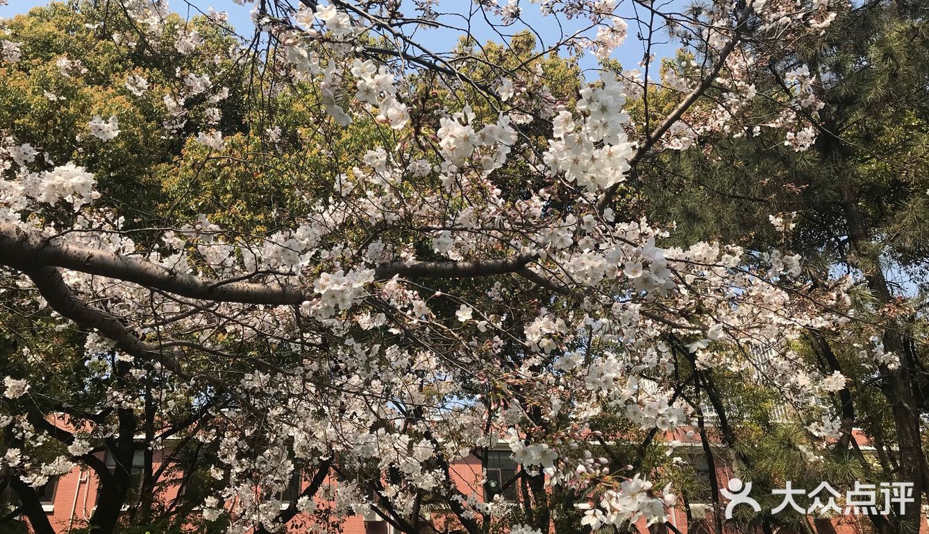 让人心情愉快舒畅了许多