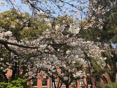 -复旦大学光华楼