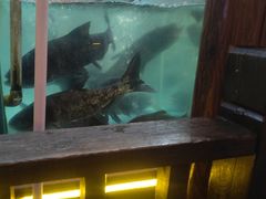 -渔乡米香·剁椒鱼头(四方坪店)