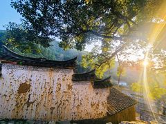 -杨家堂村