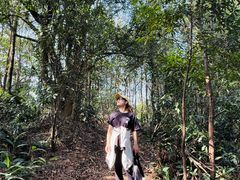 -广州市帽峰山景区