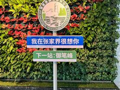 -张家界荷花国际机场