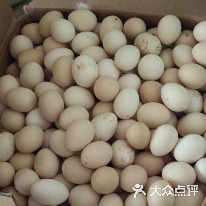 鑫瑶柴鸡蛋图片 - 第1张