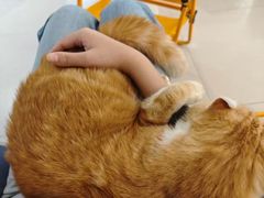 -平行世界·猫咖(首经贸店)