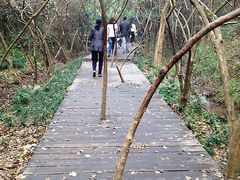 -天目湖山水园