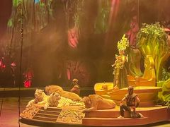 -广州长隆国际大马戏