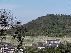 -树山生态村