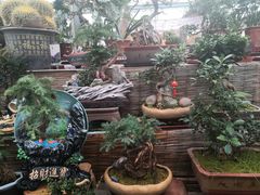 -秦美花卉(天朗·莱茵小城2期店)