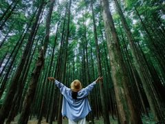 -山王坪喀斯特国家生态公园