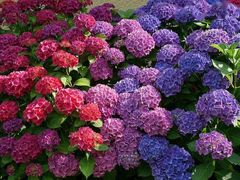 -白沙门生态公园