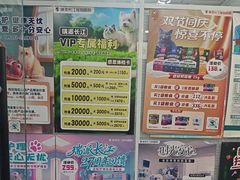 -瑞派长江宠物医院·猫科·外科·24小时夜护(谊城公寓分院)