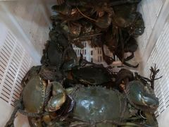 -龙海鲜螃蟹王(宏茂桥店)