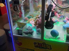 -PAWTOY爪e玩偶店(天兴罗斯福店)