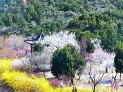 -北京西山国家森林公园