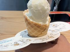 -野人先生现做冰淇淋(北京顺义祥云小镇店)