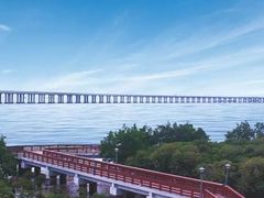 -宝安西湾红树林湿地公园