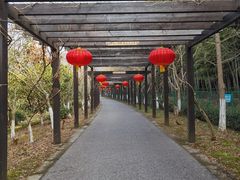 -九龙潭景区