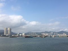 -野狸岛