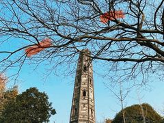 -上海佘山国家森林公园天马山园