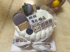 -圆鹿鹿·鲜果半糖蛋糕(常平店)