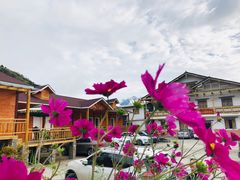 -硗碛藏寨·神木垒景区